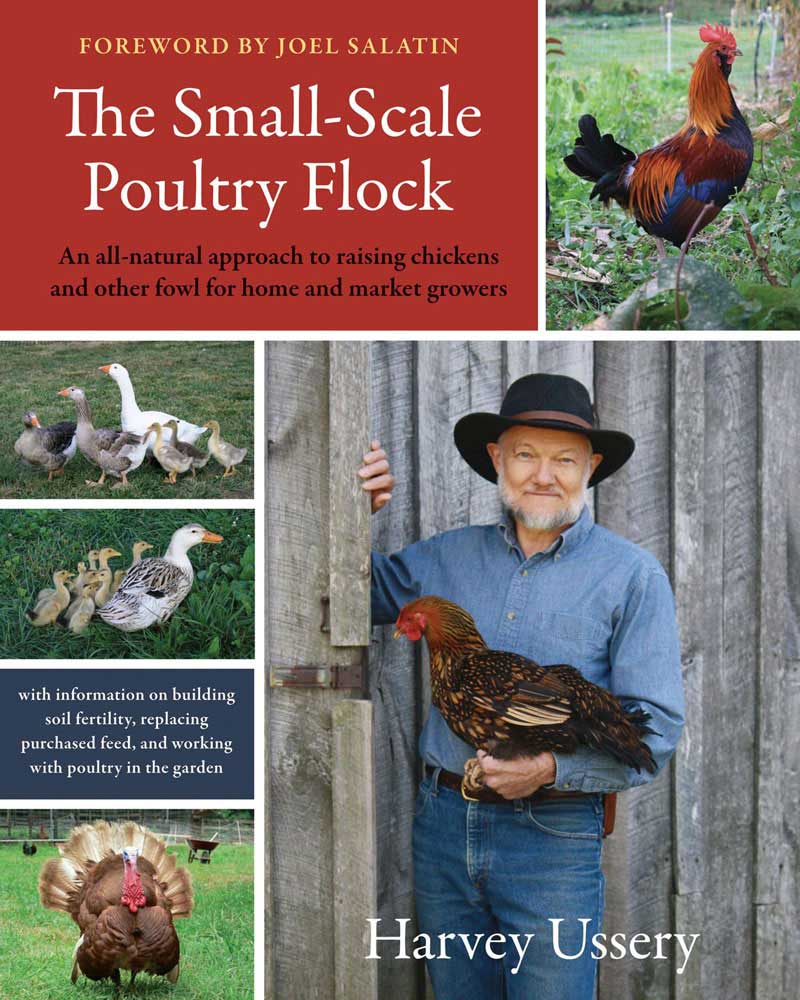 The Small-Scale Poultry Flock