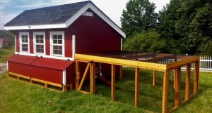 Chicken Coop Plans